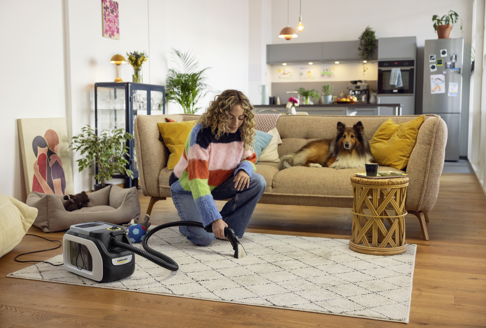 Пылесос моющий Karcher SE 3 Compact Home713 — детальное фото оборудования для СТО на remkola.by
