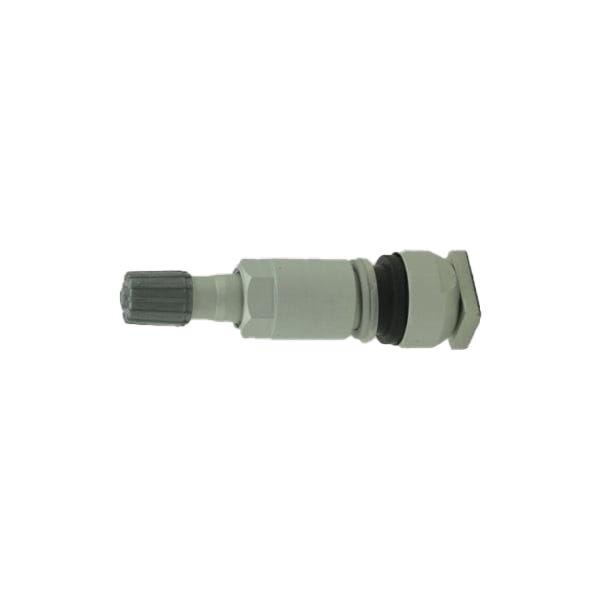 Комплект вентилей TPMS-06 под датчик — детальное фото оборудования для СТО на remkola.by