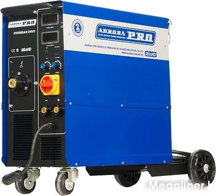Сварочный инвертор AuroraPRO Overman 250/3 — детальное фото оборудования для СТО на remkola.by
